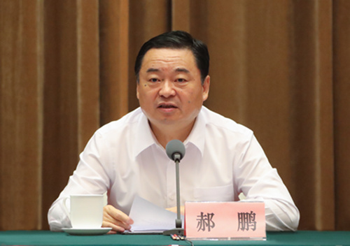 郝鵬、國資、央企、國資委、書記、主任、國企、企業改革